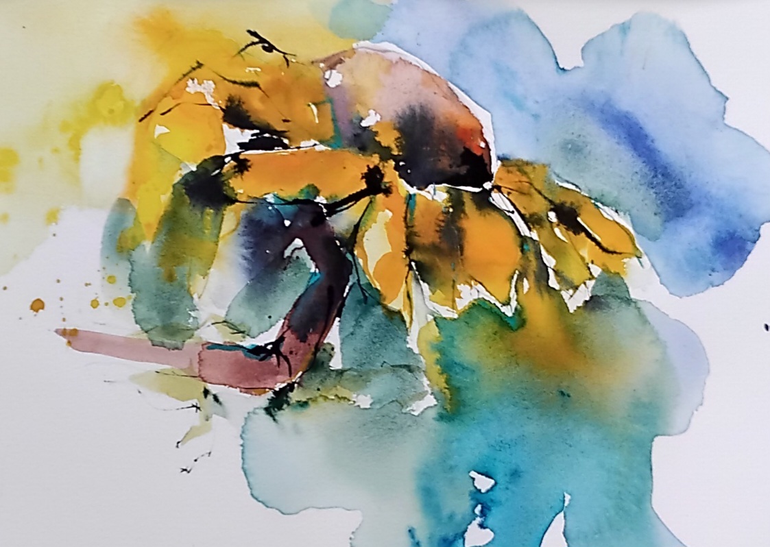 Sonnenblume, Schmincke auf Hahnemühle 300g, 38x50